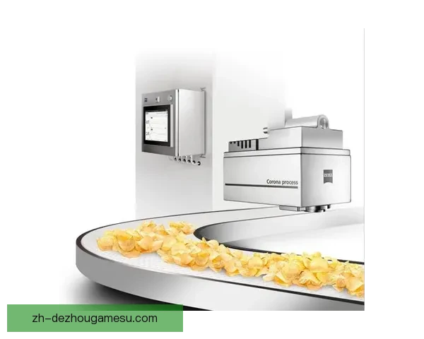 维切塔79至96EWE奥尔登堡型号技术分析与应用研究