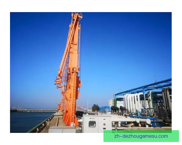 以中孟买港1-3信实FYC为核心的港口运营与发展战略研究